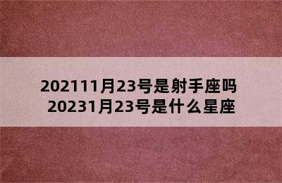 202111月23号是射手座吗 20231月23号是什么星座